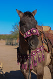 Floral Bronc Halter