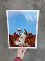 "Penny the Cow" 11x14 Print